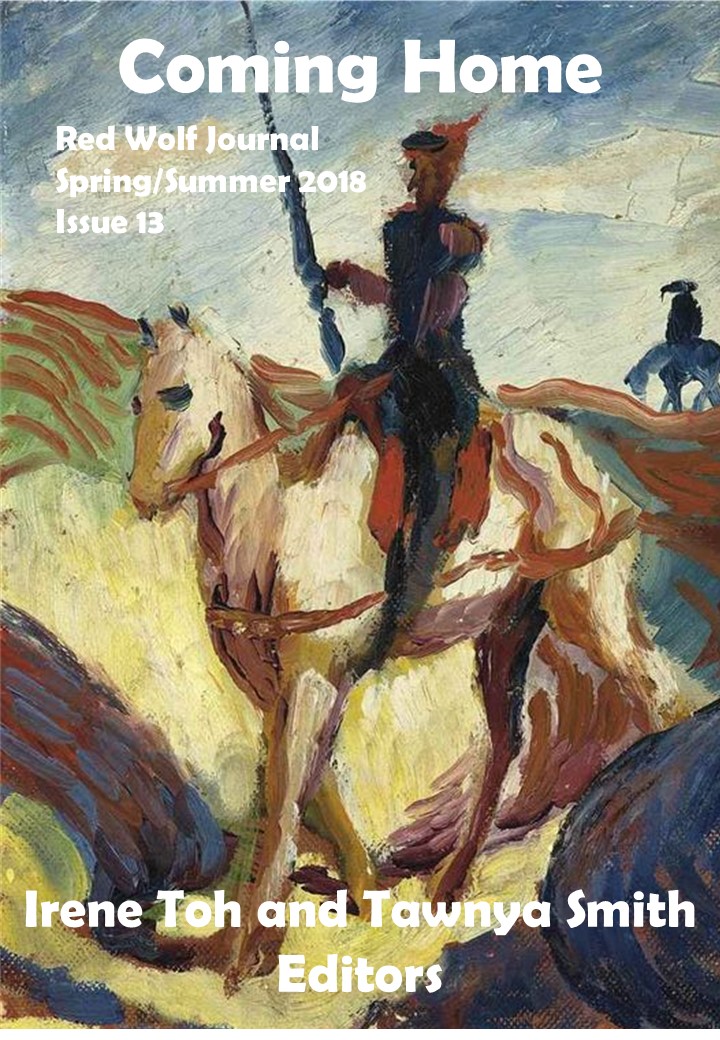 spring summer 2018 cover